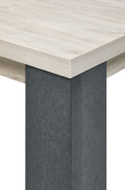 Table rectangulaire L180CM ZEUS 